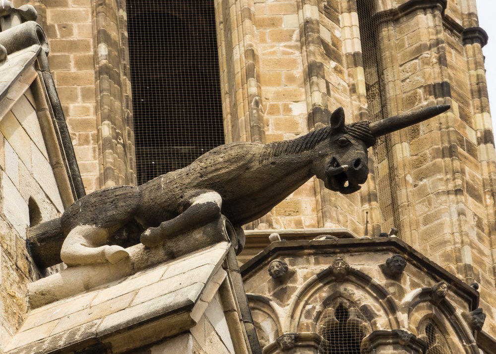  One of the gargoyles on the cathedral. 