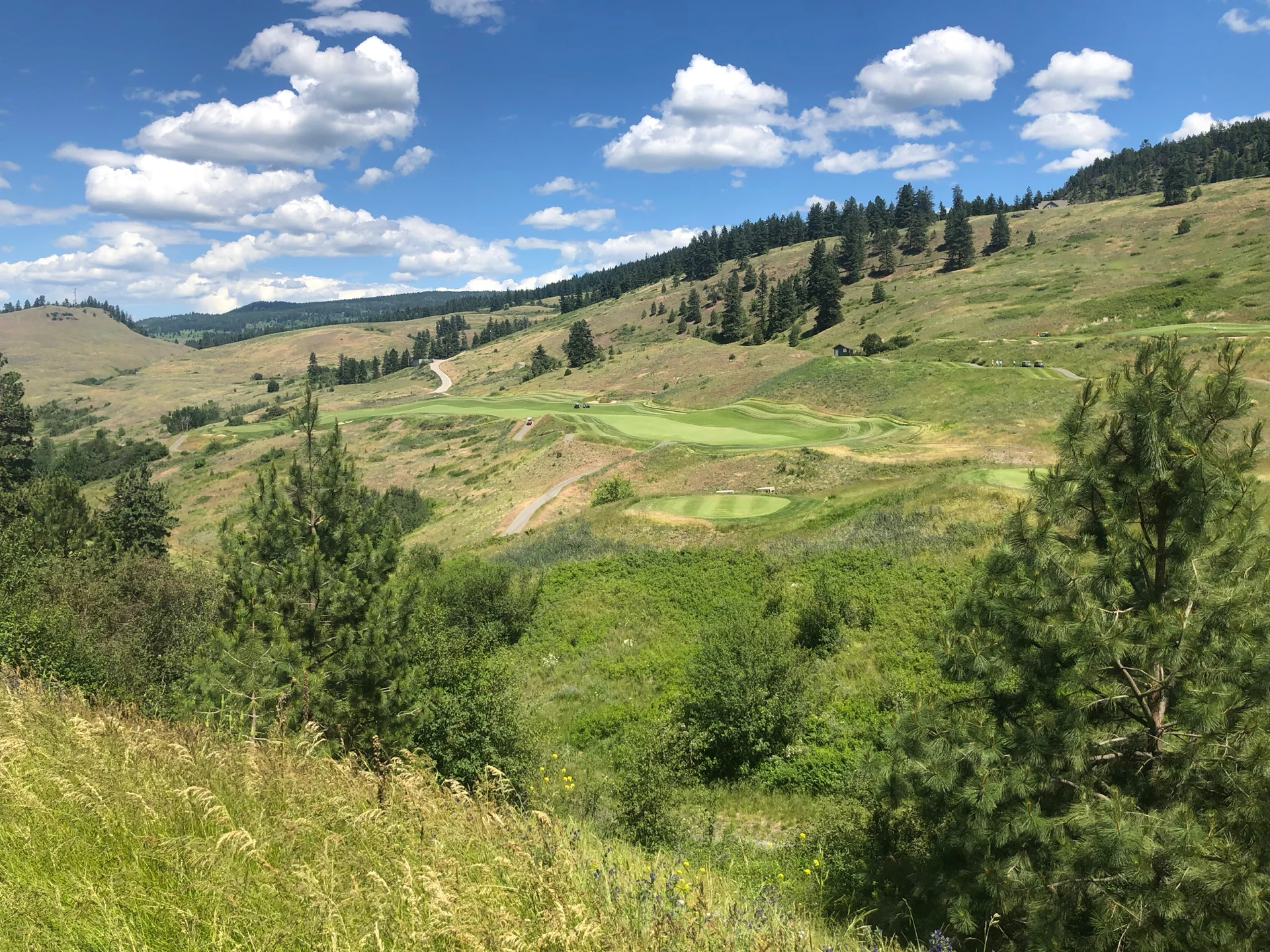  Looking out over some of the upcoming holes - I should have been more concerned. 