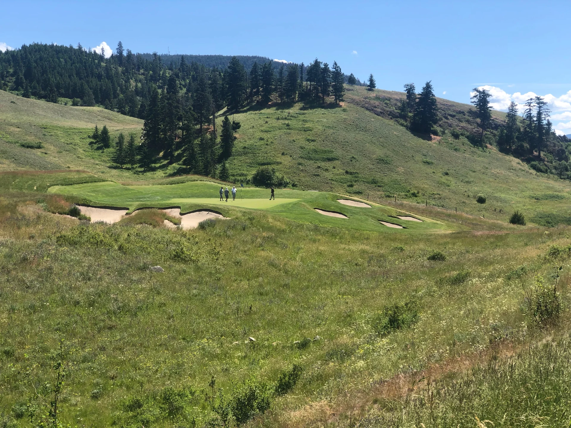  I think this was the only par 3 I hit all day. 