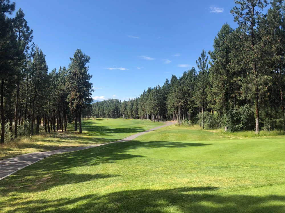  This golf course was much more in the forest, which was a nice change. 