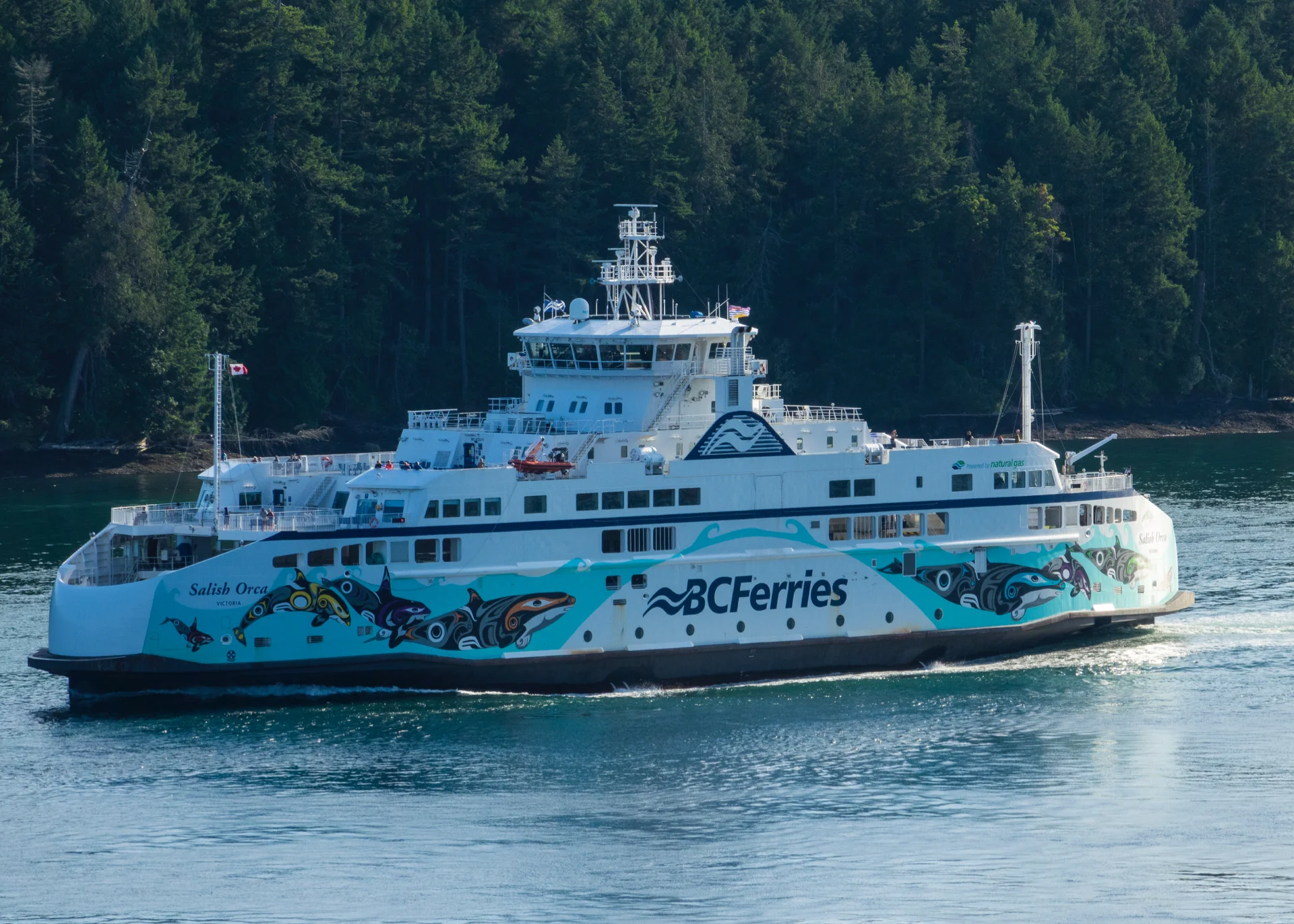 2019 06 Galiano Mom and Dad - 65.jpg