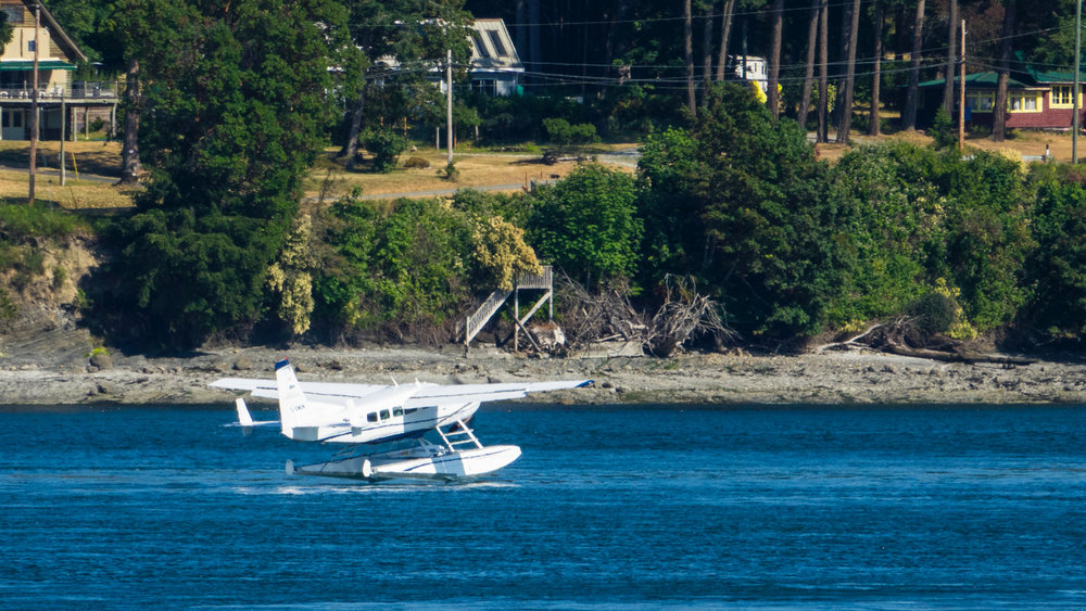  A float plane came in to land at Mayne Island while we were there. 