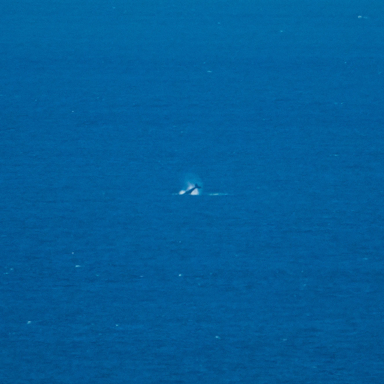 2019 08 Galiano - 21.jpg