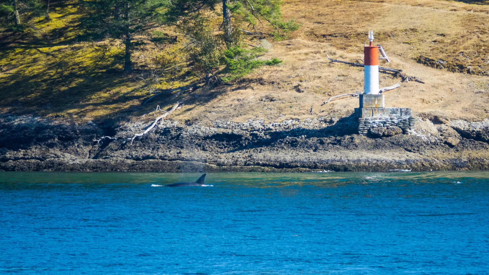 2019 08 Galiano - 34.jpg