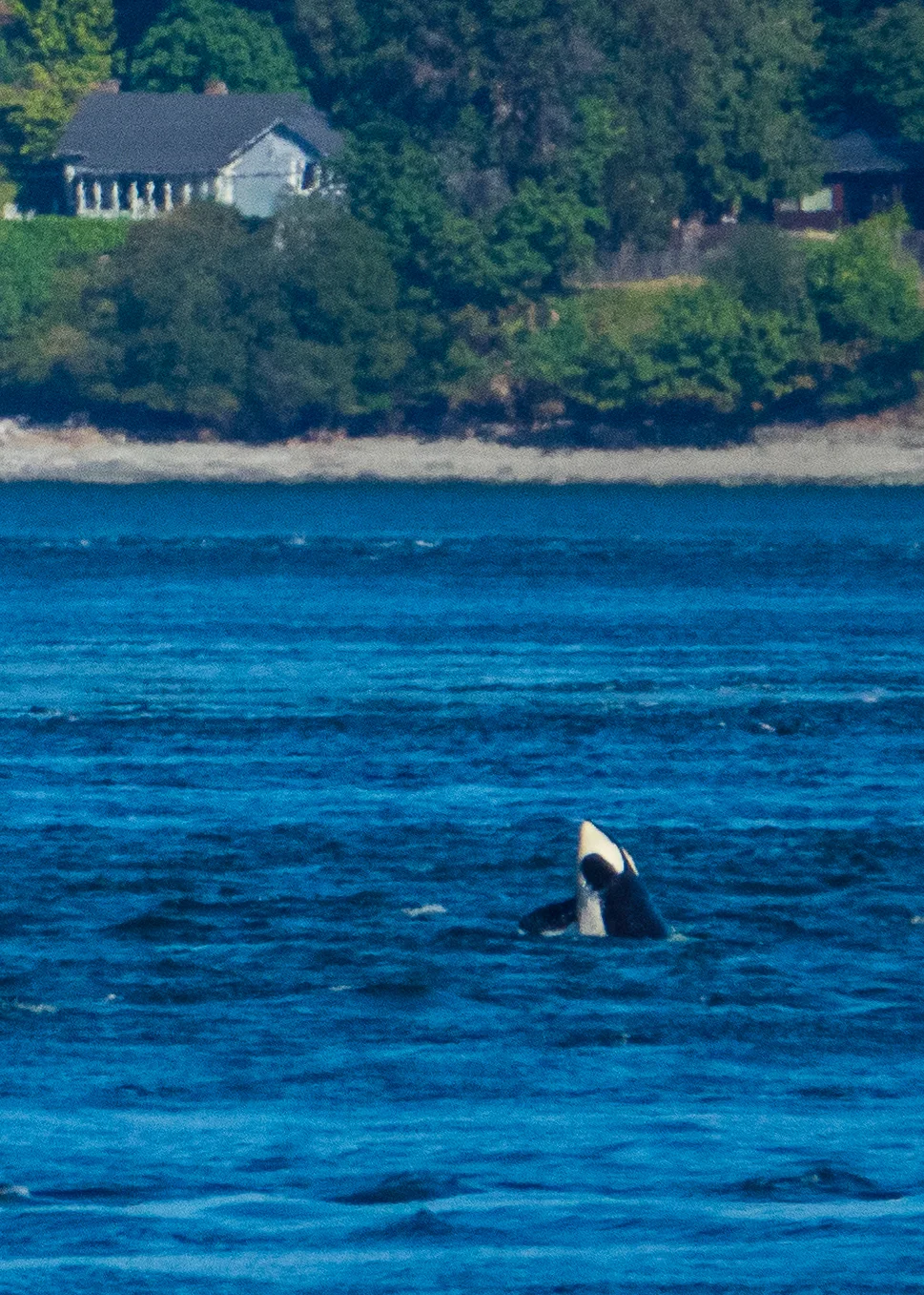 A nice breach, if far away.