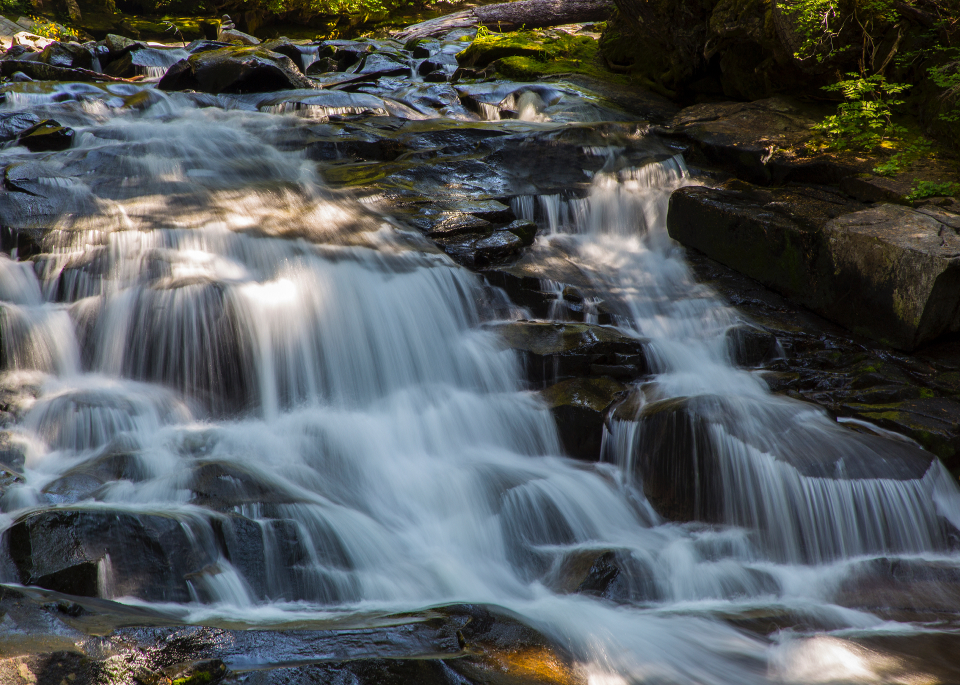 2019 08 Mount Rainier Part I - 17.jpg