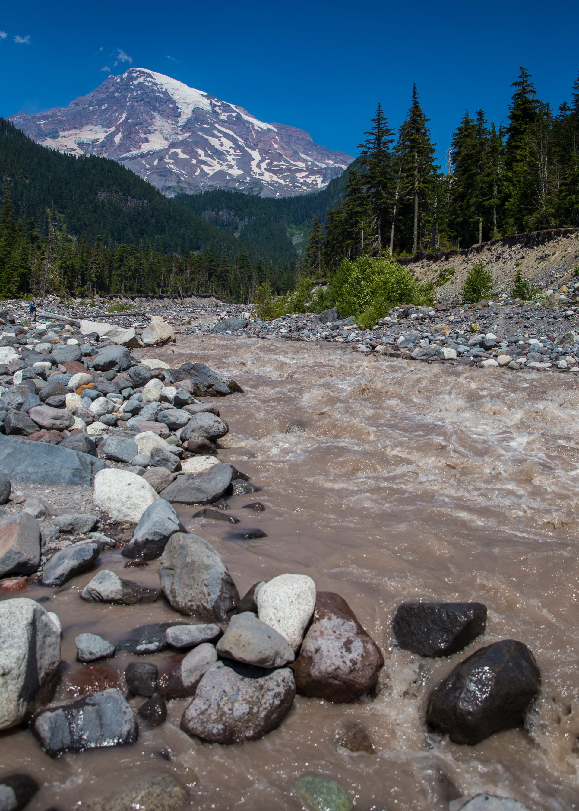 2019 08 Mount Rainier Part I - 24.jpg