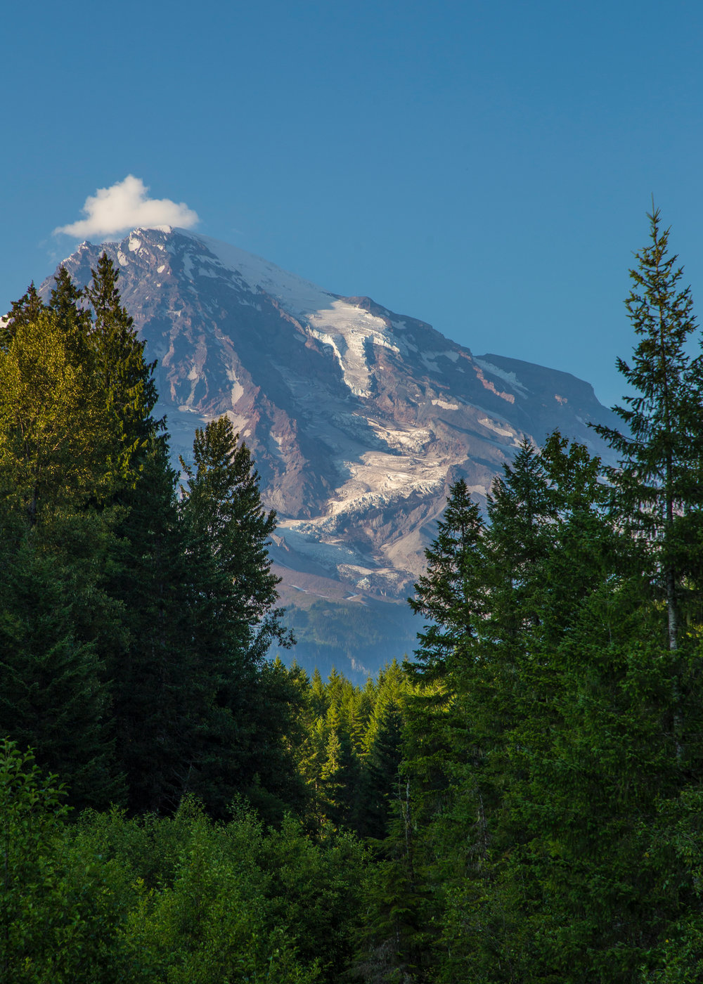 2019 08 Mount Rainier Part I - 38.jpg