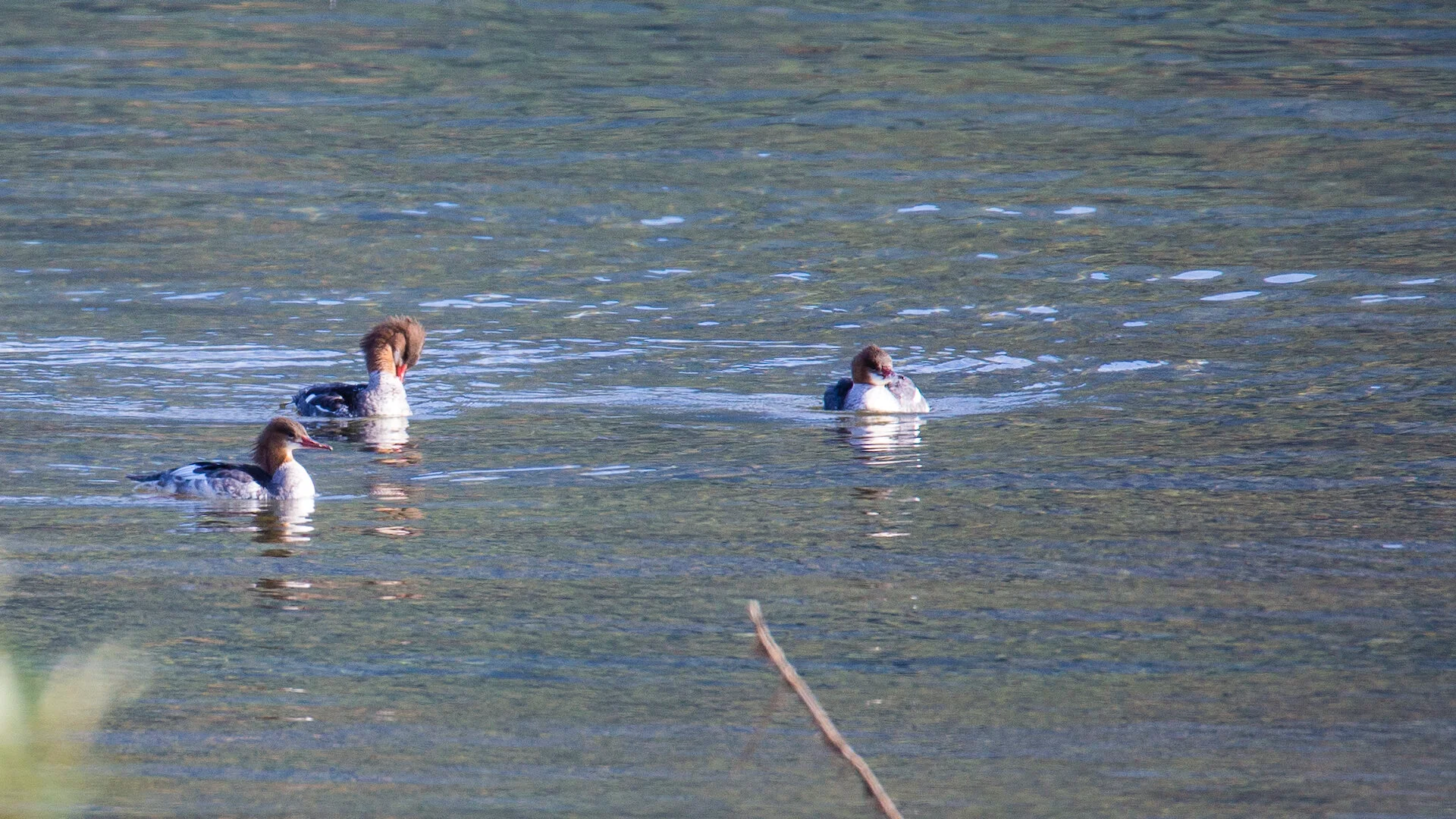 2019 Weaver Creek - 10.jpeg