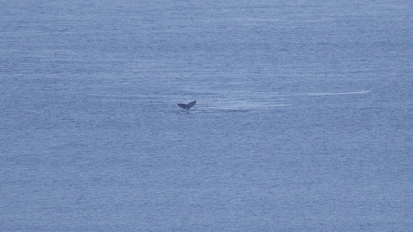 2019 10 Galiano - 16.jpeg