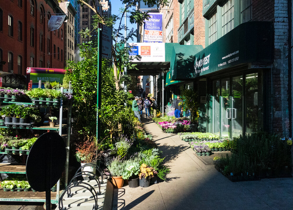 Lots of flower stores