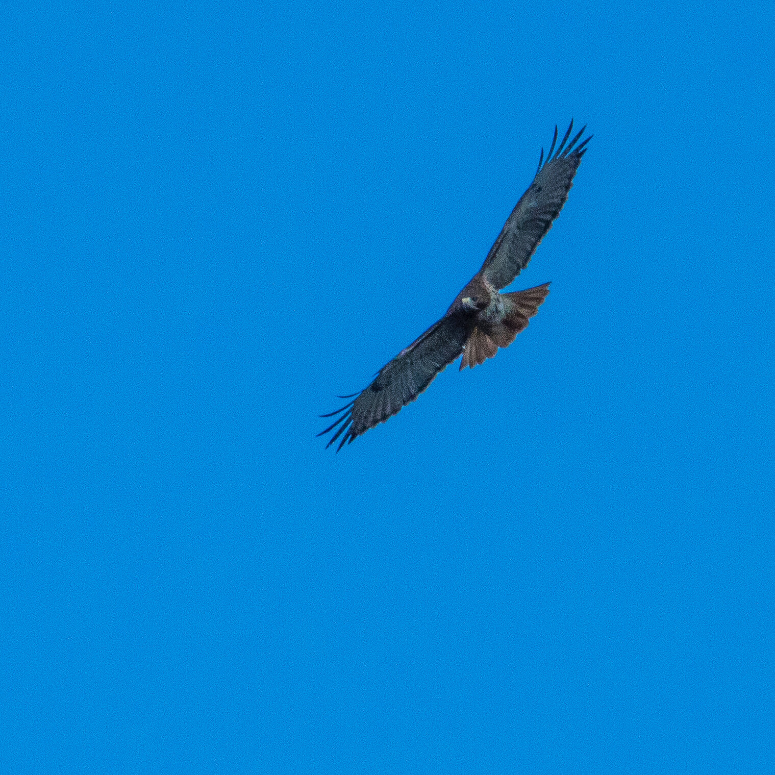 2019 11 NYC - 53.jpeg