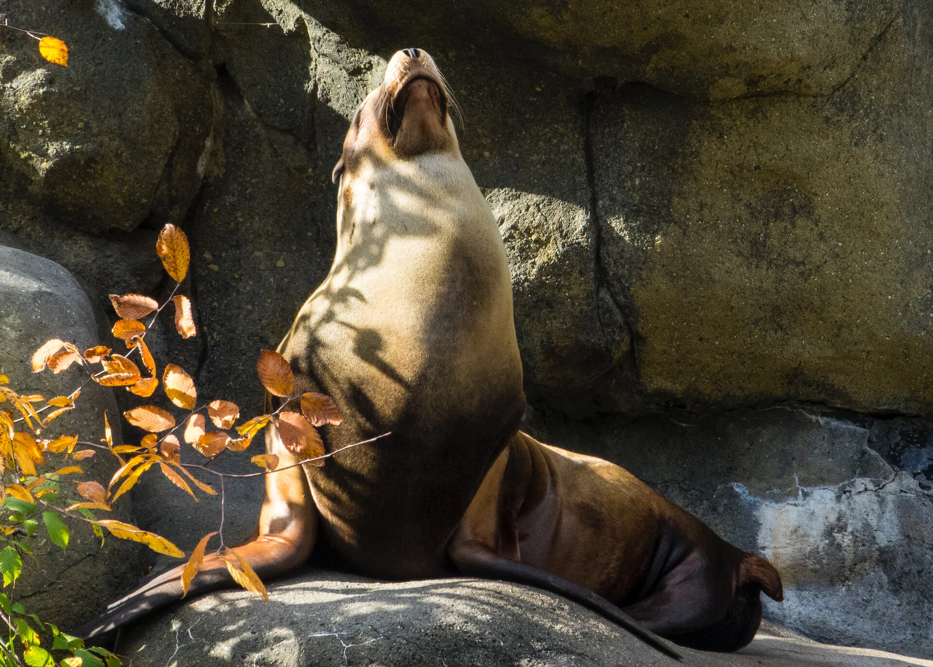 2019 11 NYC - 136.jpeg