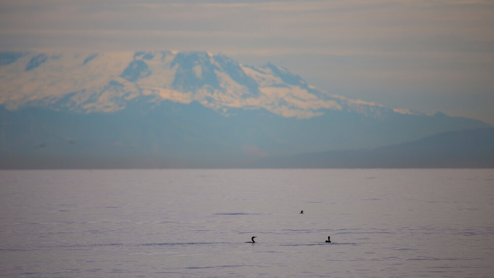  The top of Mount Baker was shrouded in clouds 