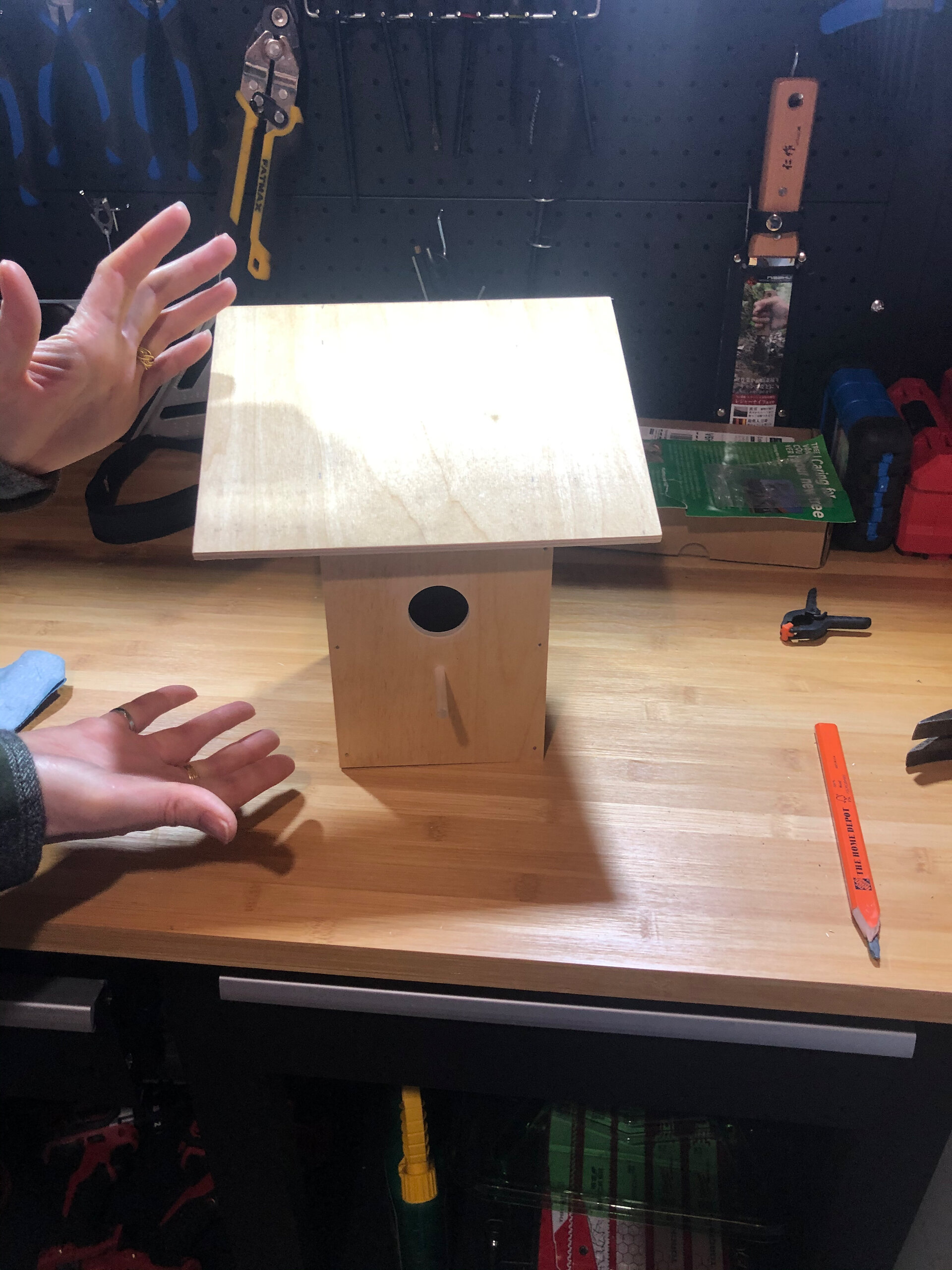  I built my new bird house… 