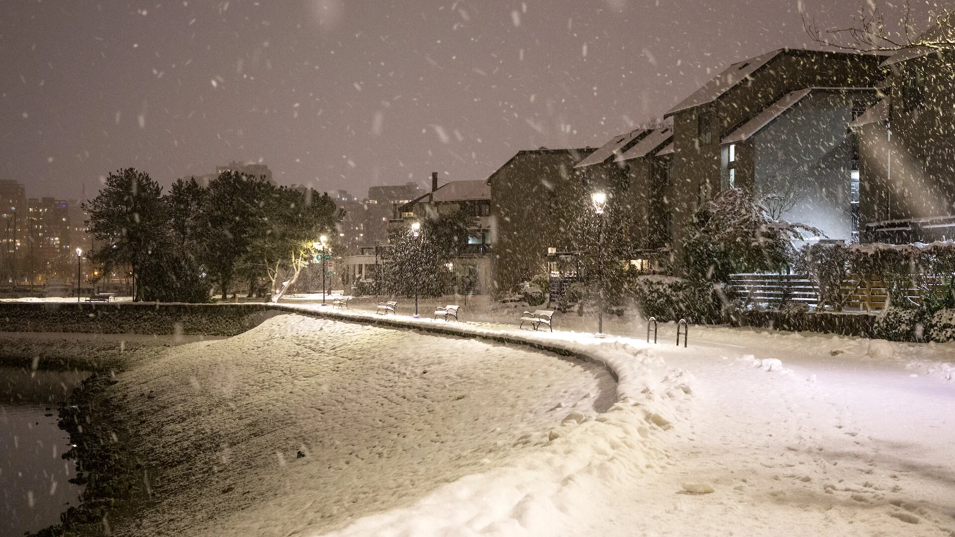  The snow was coming down in big, huge flakes. 