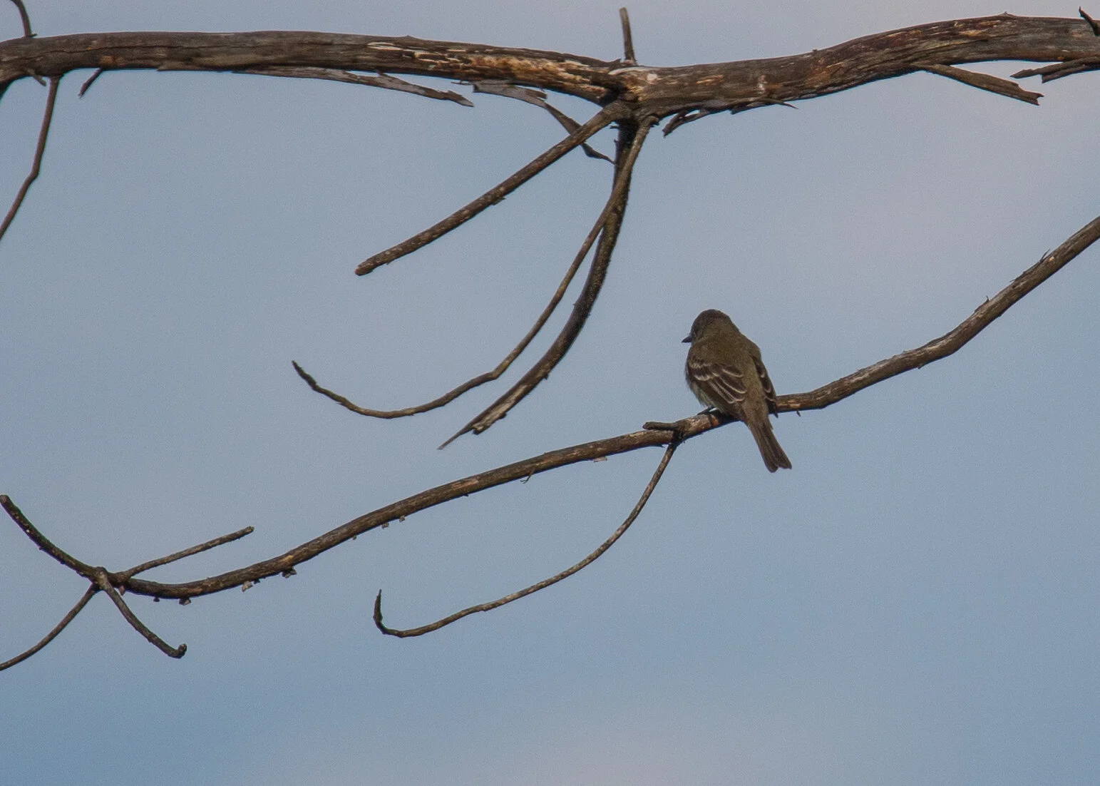 2020 06 Galiano - 20.jpeg