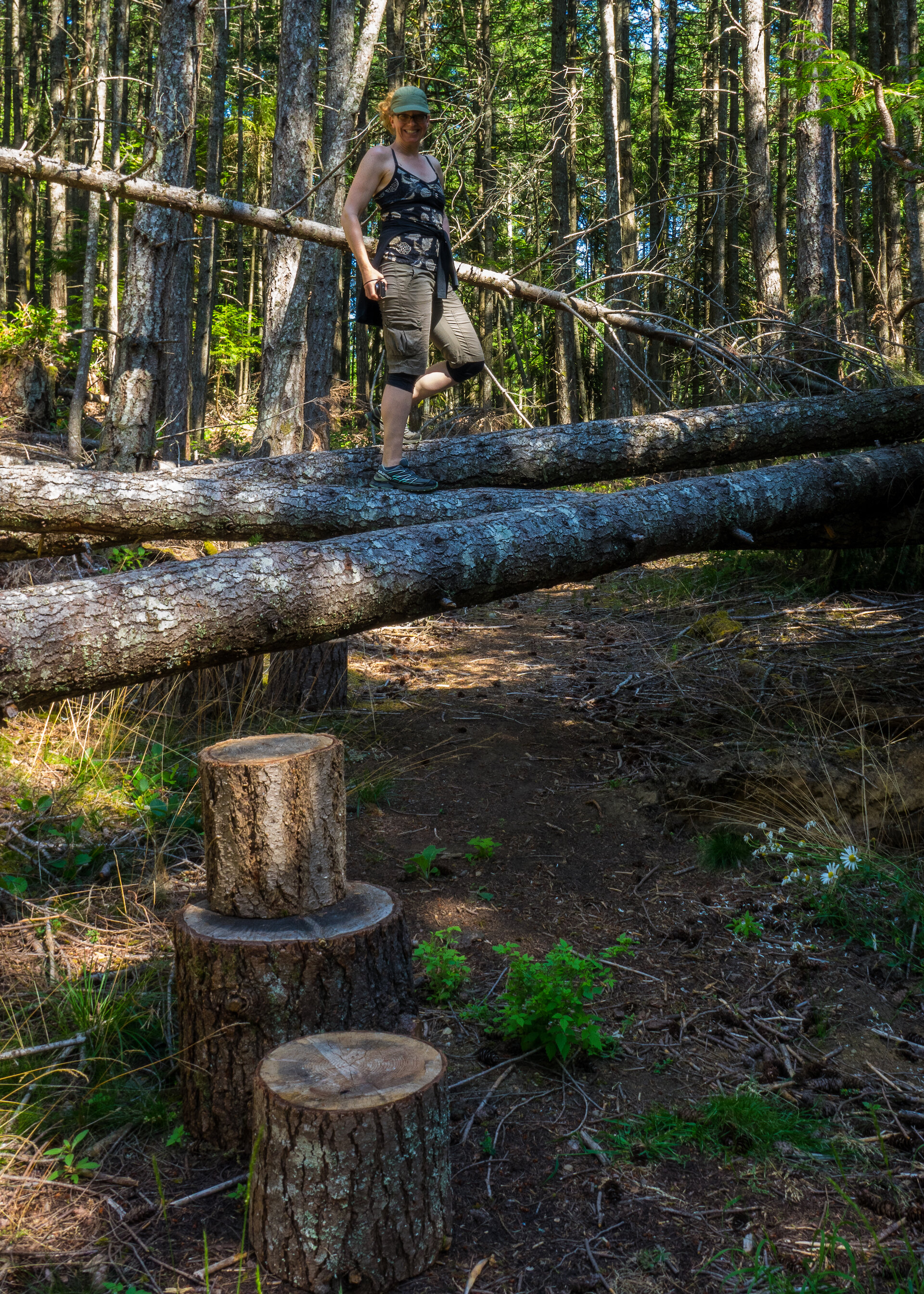  Some fun ways over the downed trees. 