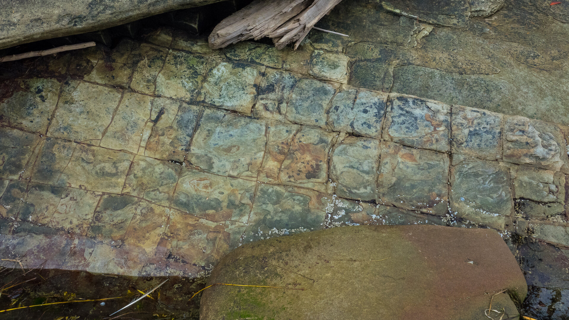  These rocks were a little different! They formed almost a tile pattern and had some interesting colours.  