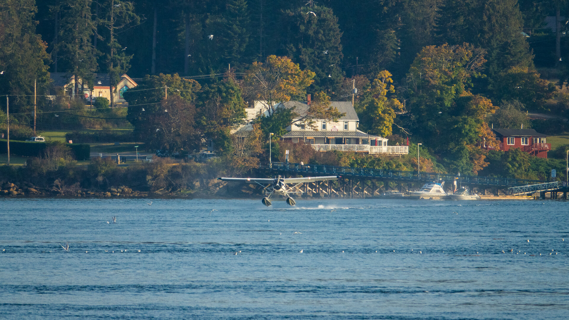  While we were there, a float plane took off from Mayne Island. Always cool to see. 