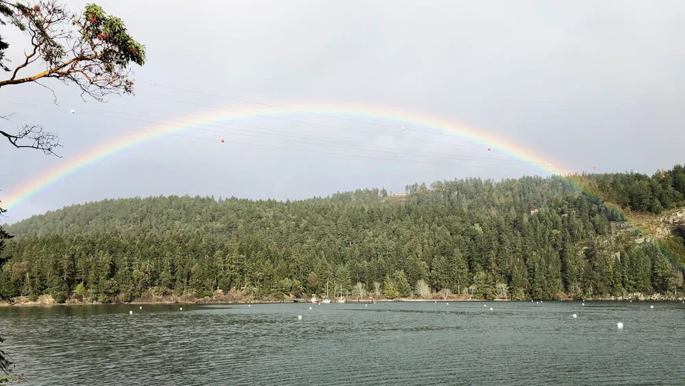  The rain meant that we were given an amazing rainbow! 