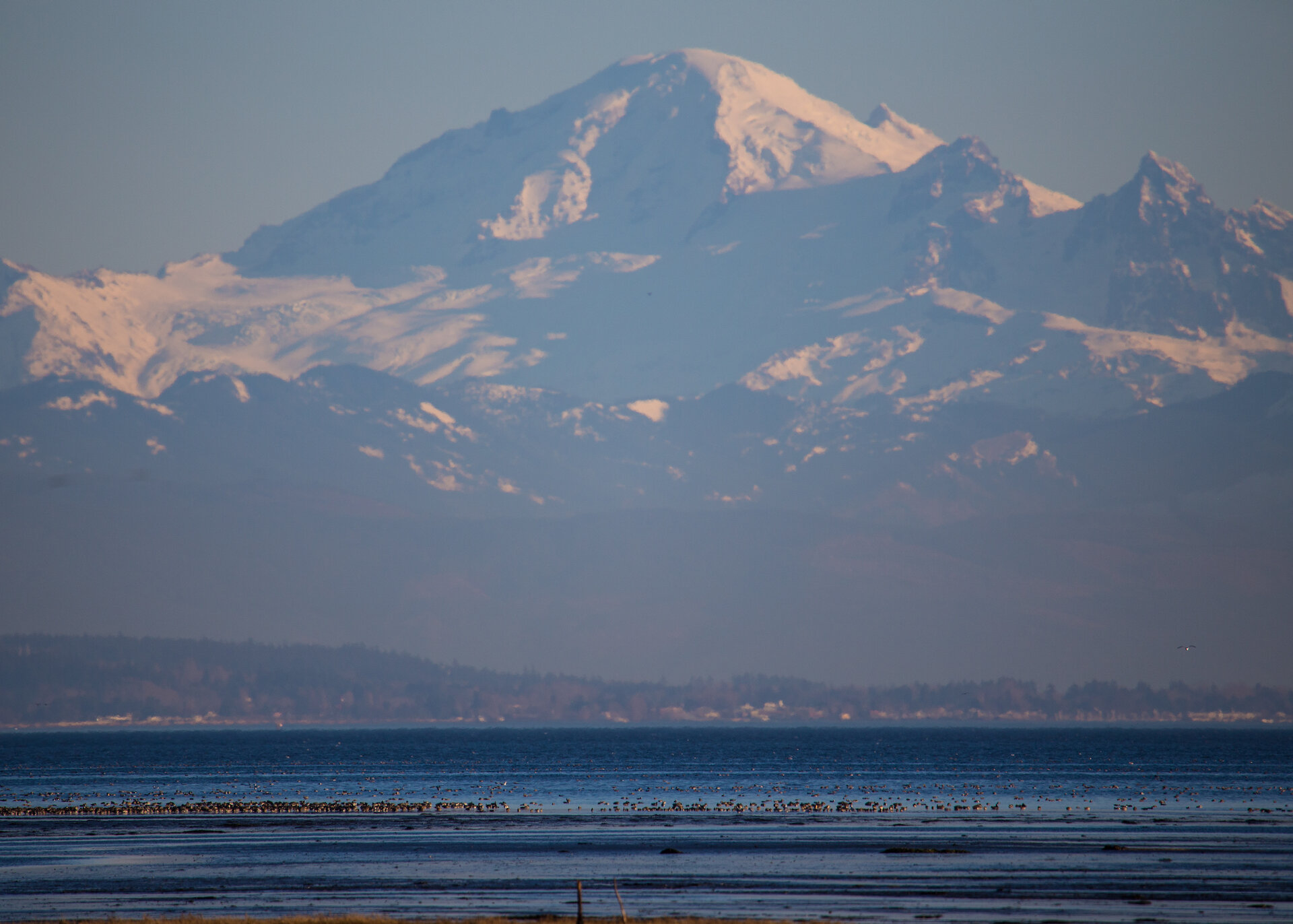  I thought I’d start with some landscapes - the views of Mount Baker were amazing. 