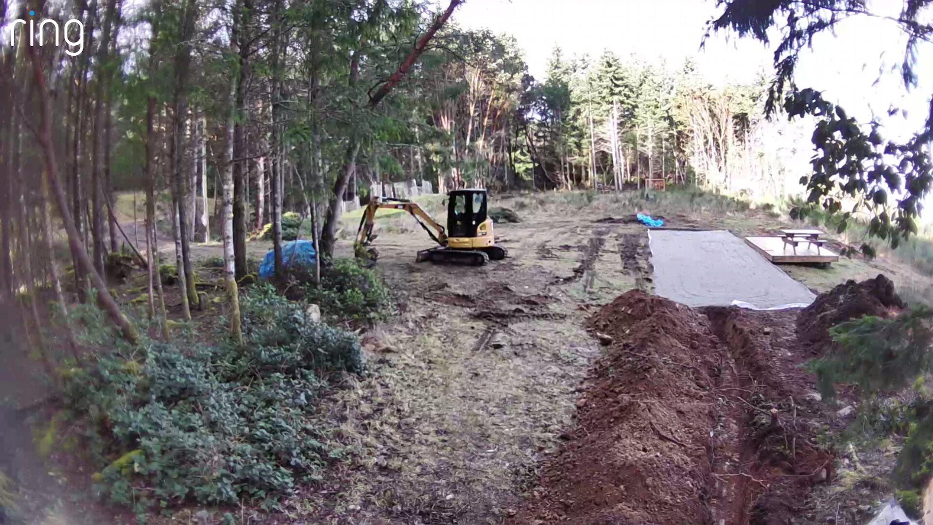  We also have to trench from the utility shed where the power and water come from, over to the cottage. In addition, we started work on the septic system for the cottage. 