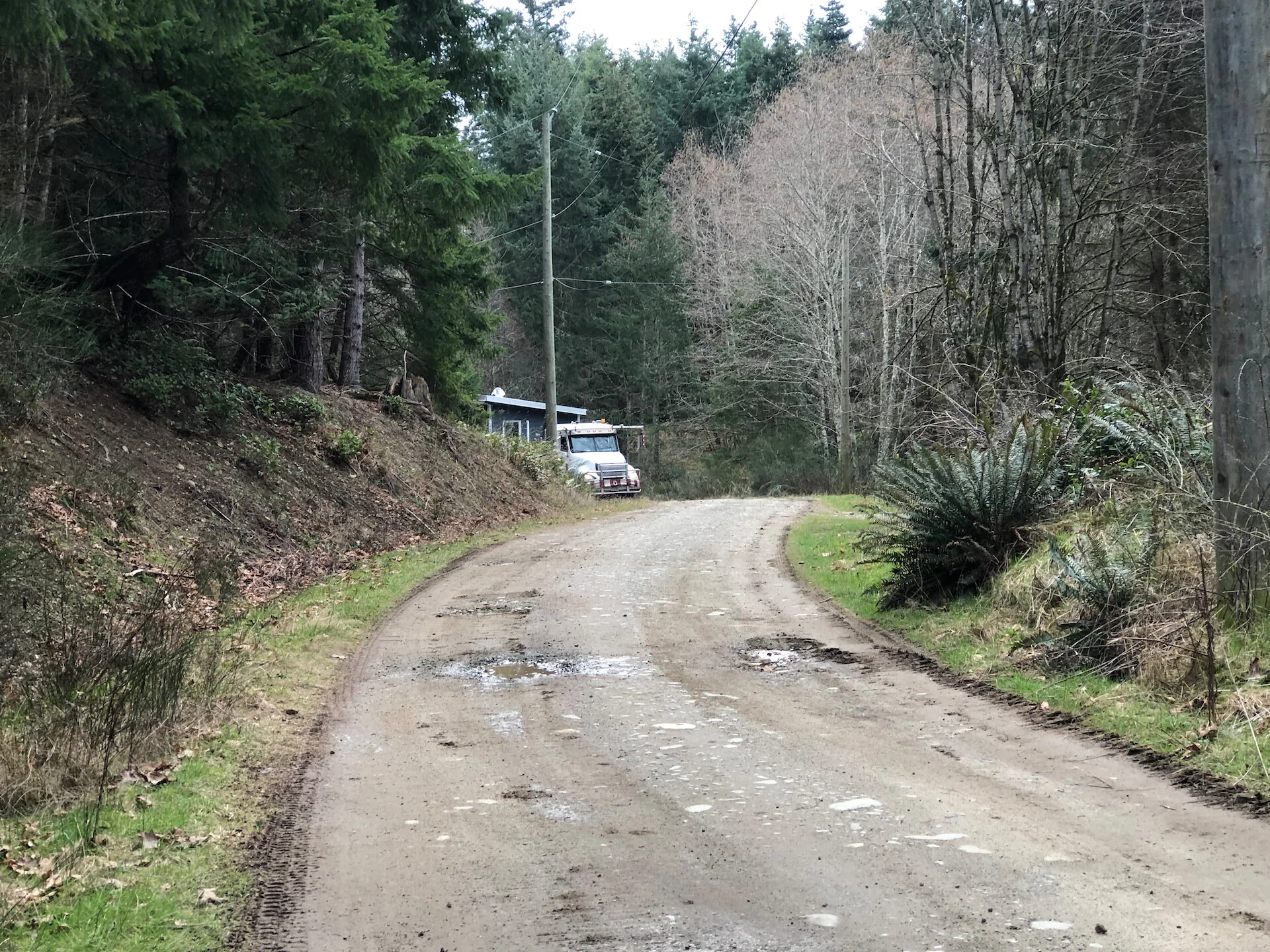 Cottage Delivery - 28.jpeg