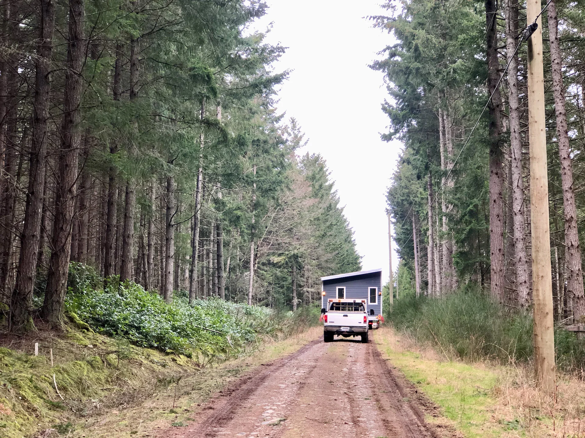 Cottage Delivery - 32.jpeg