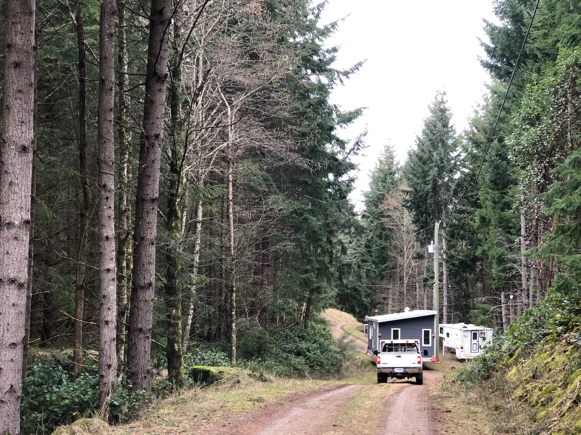 Cottage Delivery - 34.jpeg