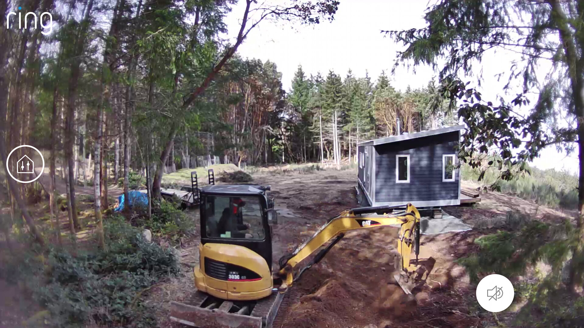 Vancouver Spring - 3.jpeg