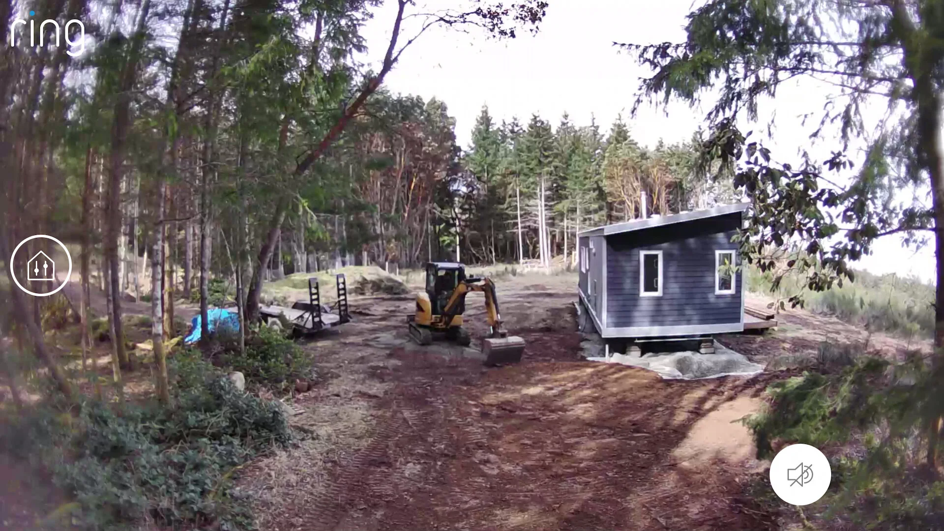 Vancouver Spring - 4.jpeg