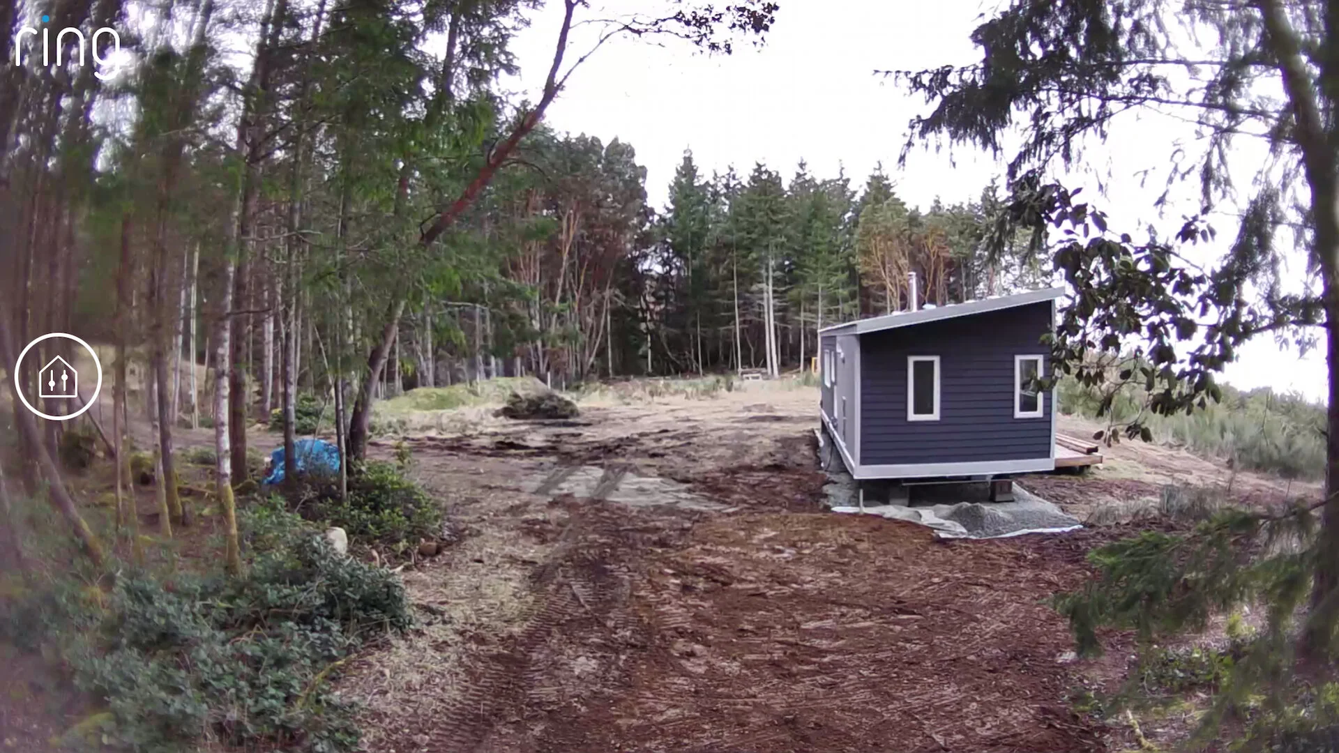 Vancouver Spring - 5.jpeg