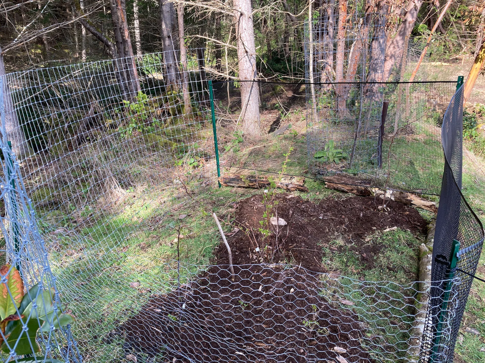 Landscaping Weekend - 12.jpeg