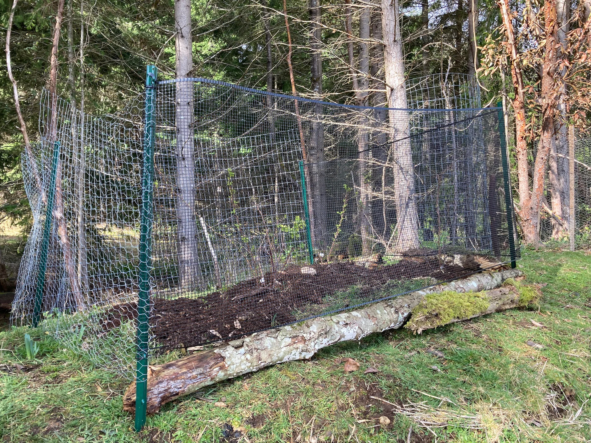  It’s a bit of a mixture of fencing types, but I think it’s much better than before! 