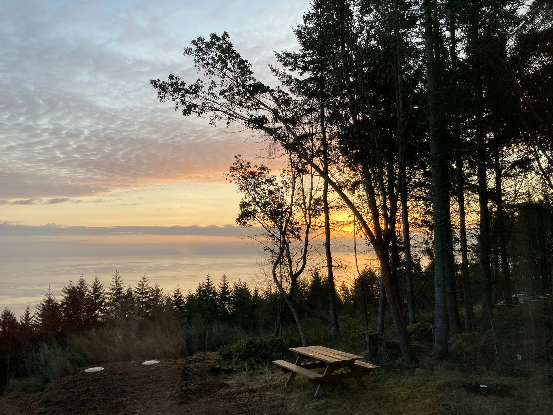 Landscaping Weekend - 10.jpeg