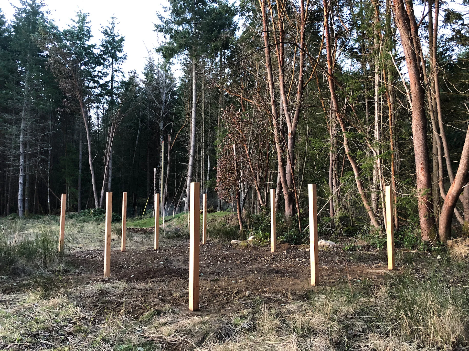  And done! I think it’s going to be great, once we get some boxes built and installed. 