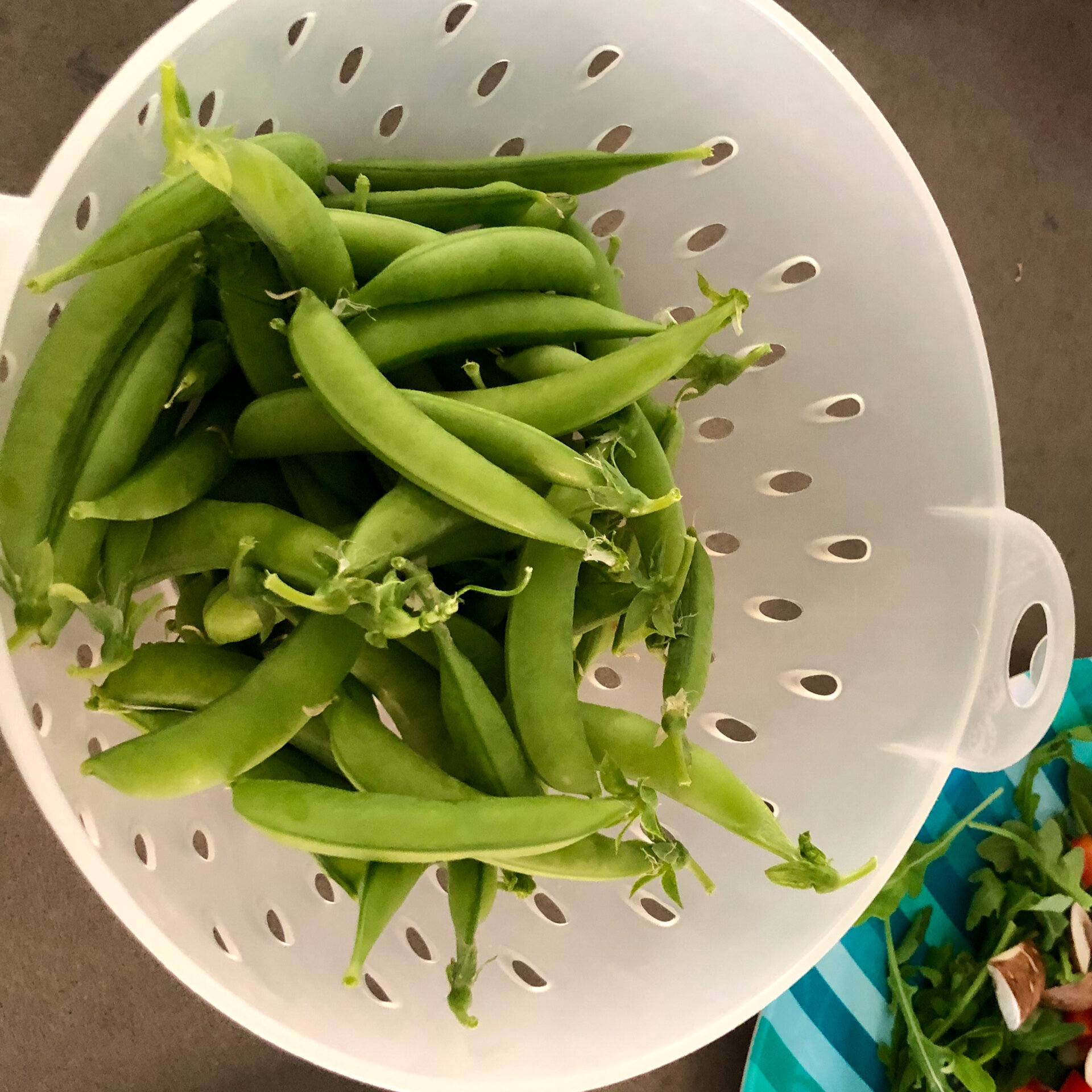 One of the three harvests of peas we’ve had so far this spring. 