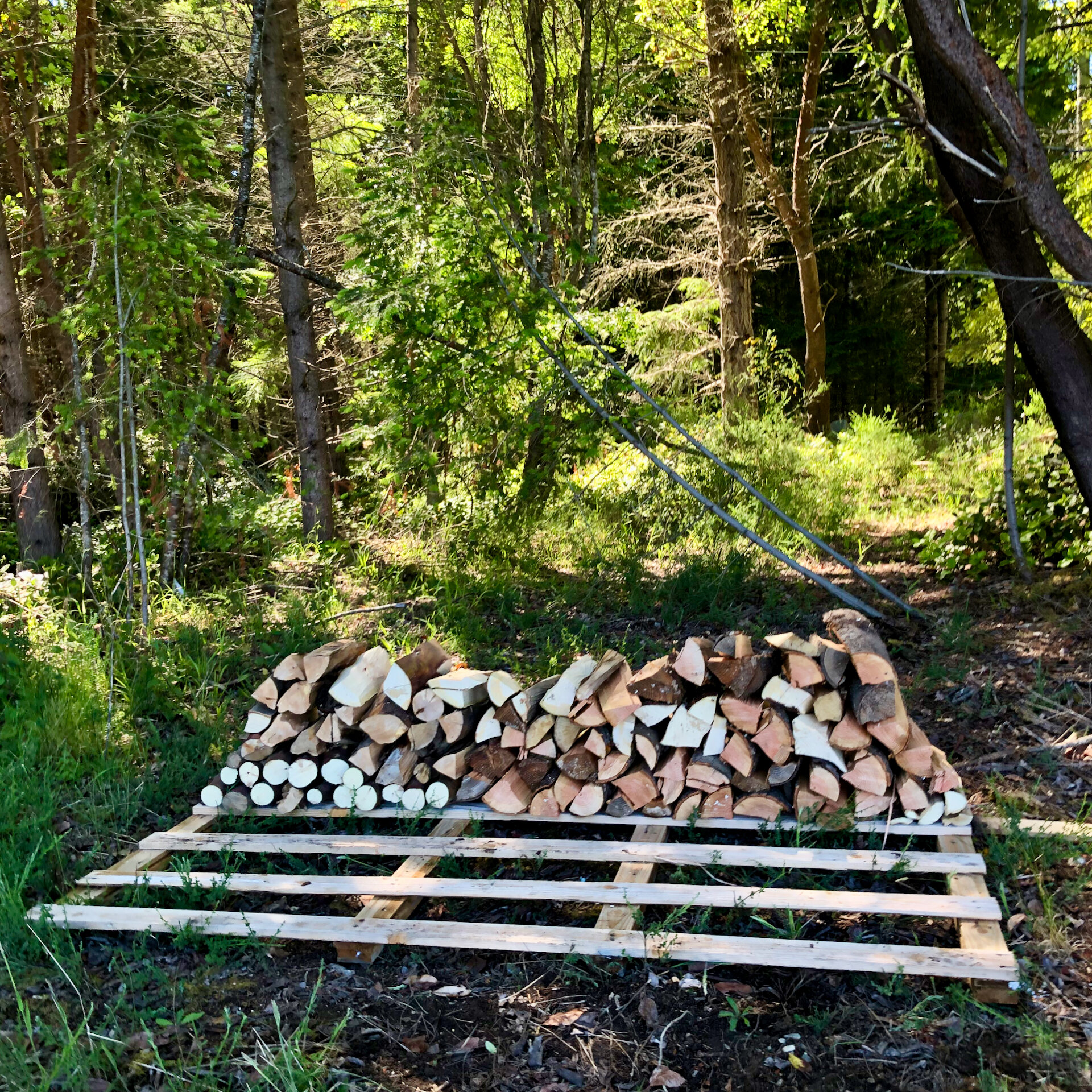  From one of our wood deliveries, we had a big palate that was perfect for stacking the wood on. 