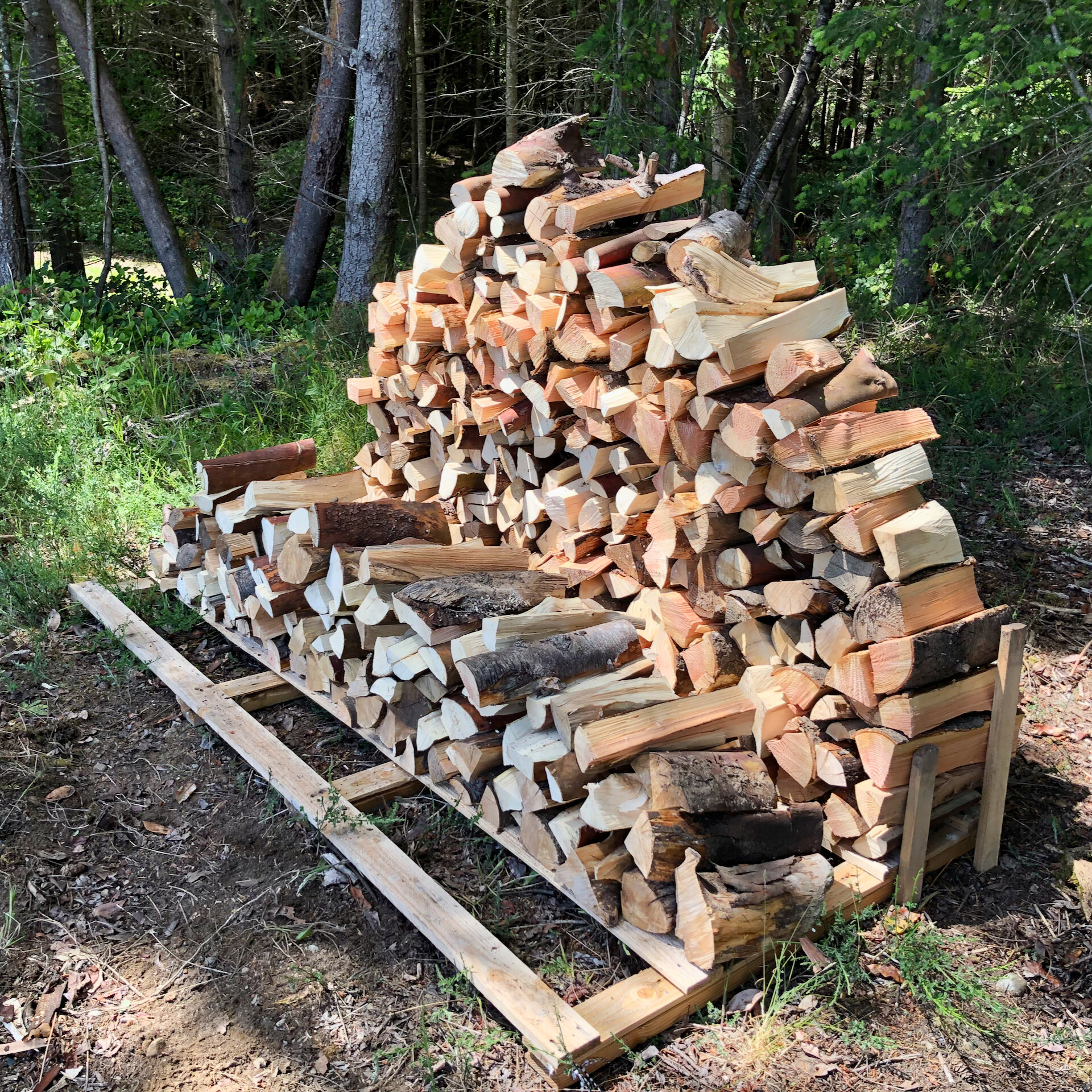  The initial pile of logs quickly became a pretty decent sized stack of firewood. 