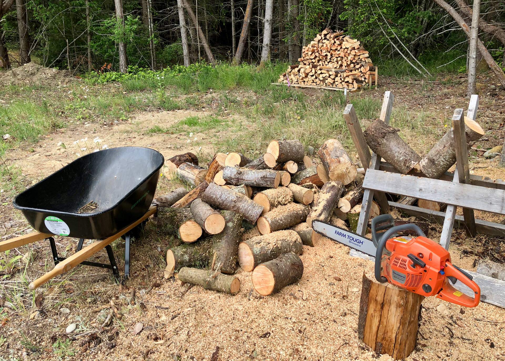  It was a busy day, but I got through quite a lot of it. We’ve got more wood than we’ll need all winter I’m sure. 