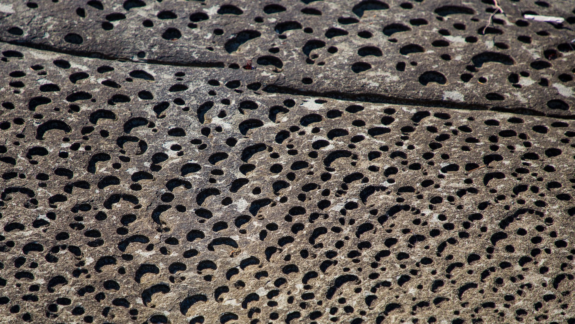  Close up of some of the erosion patterns.  