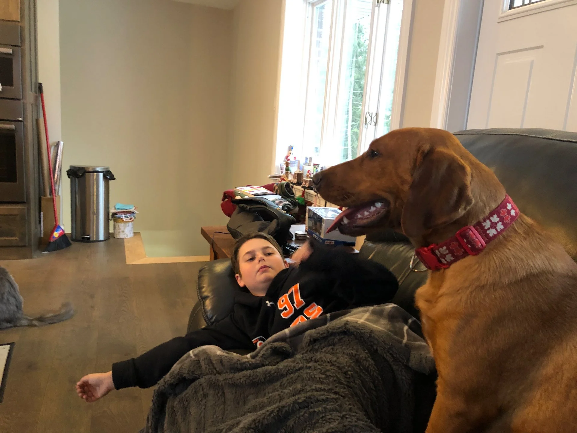  Archie is a bundle of energy! But he slows down every once in a while - mostly to pretend he’s a lap dog. 