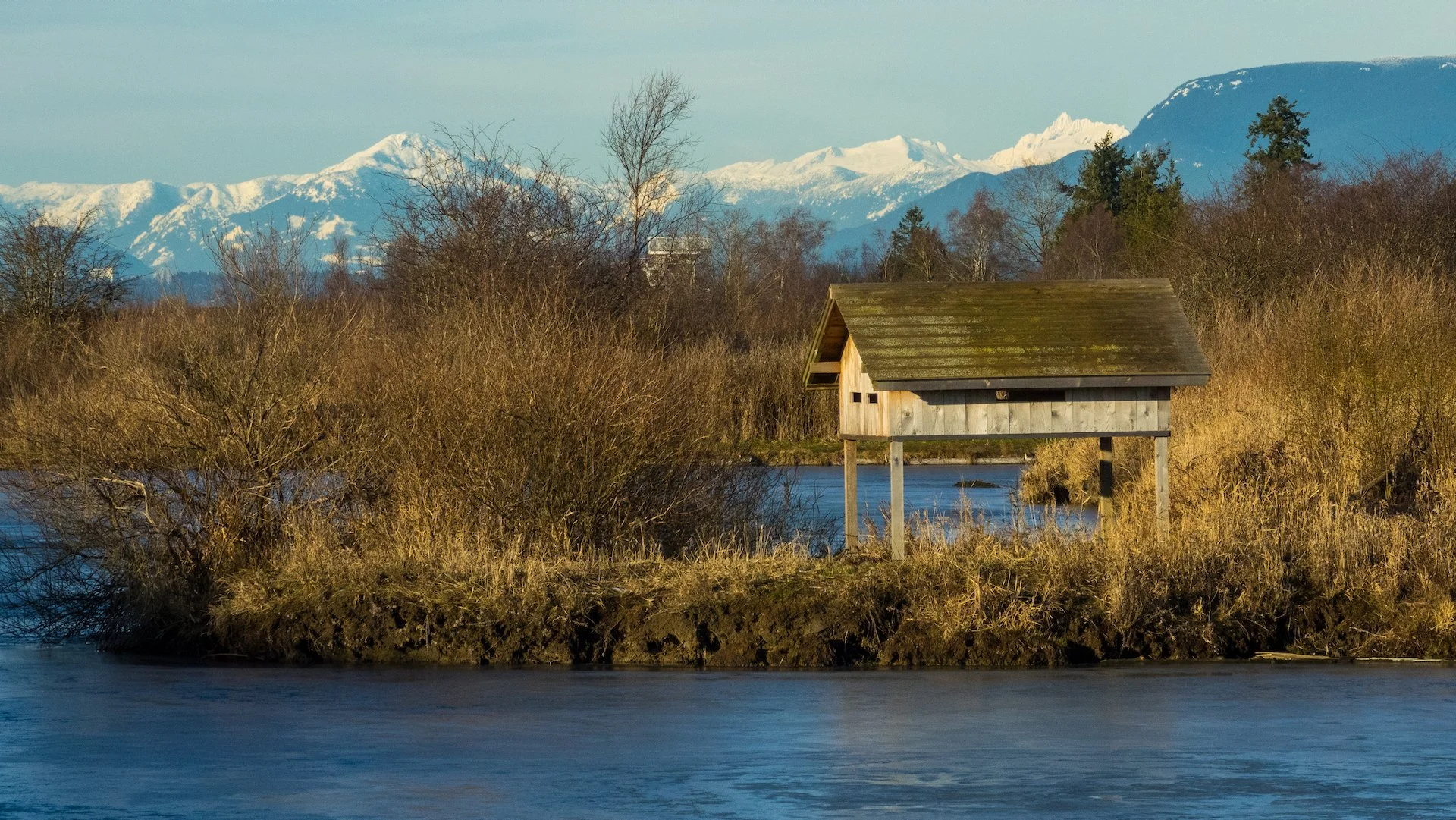 2022 01 09 Reifel - 24.jpeg