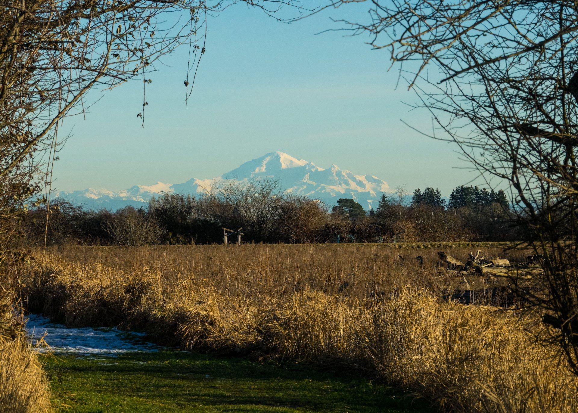  And some great views of Mount Baker. 