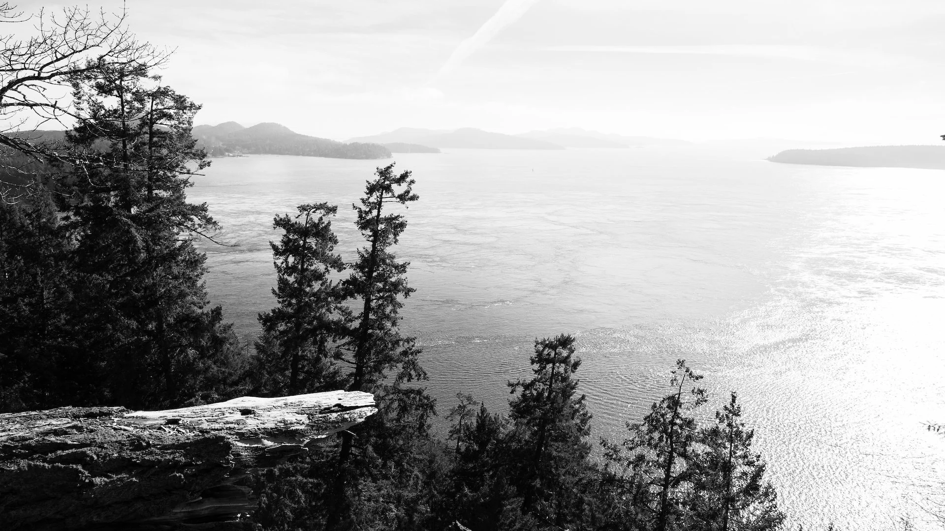  Looking out over the entry to Active Pass. 