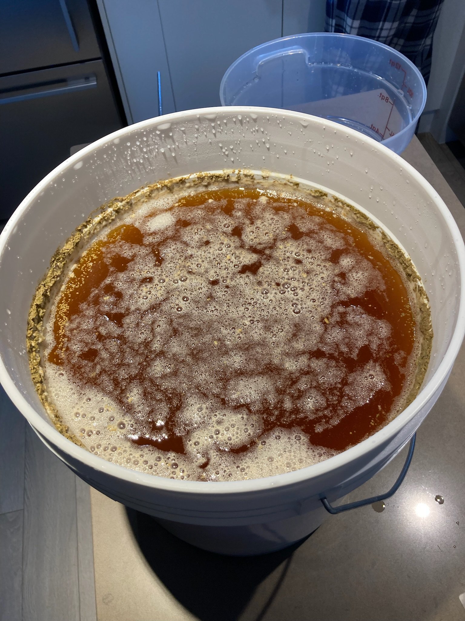  Our beer in the primary fermentation stage.  
