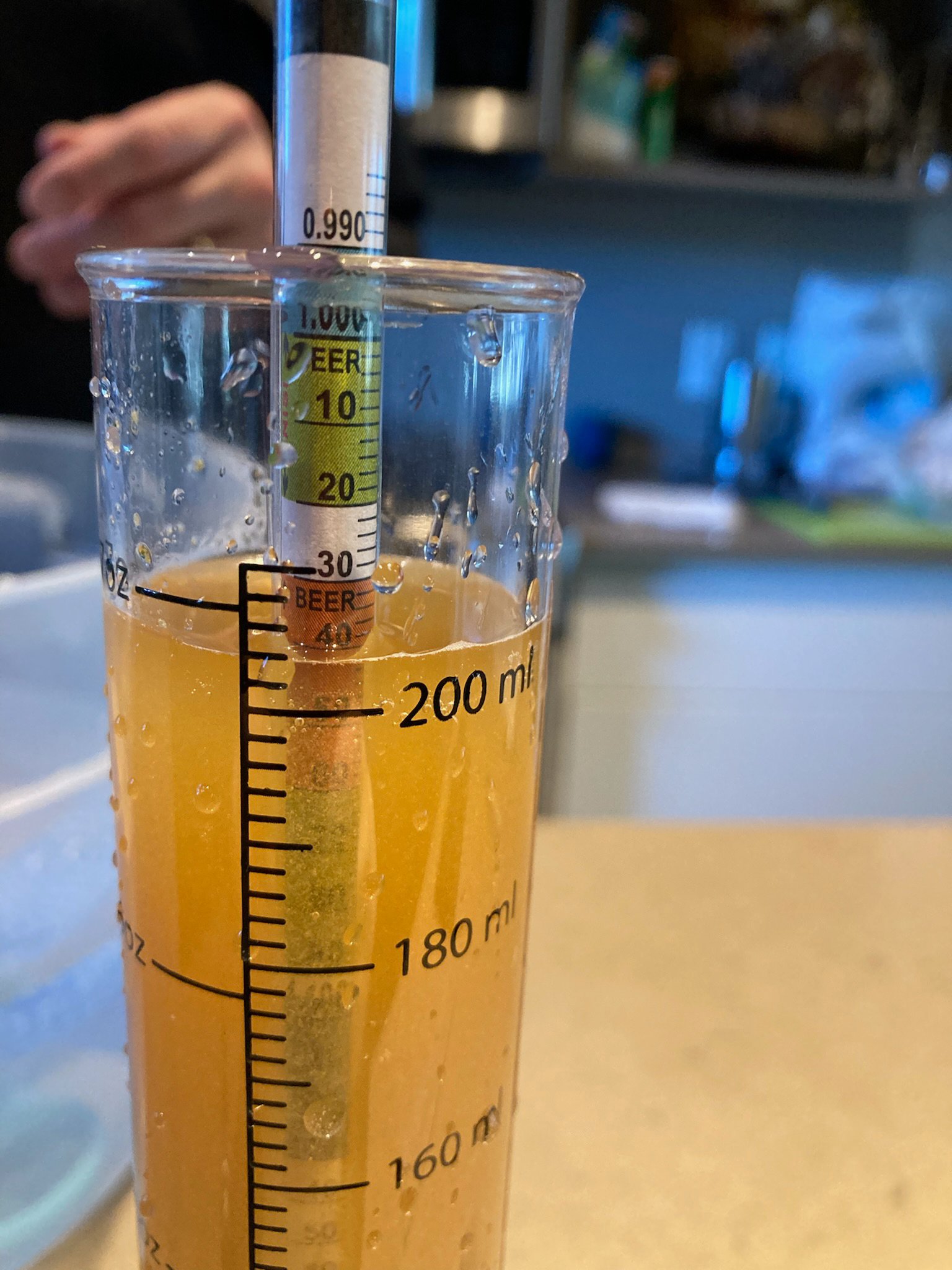  Checking the specific gravity to see what our expected alcohol level will be - it was in the right range! 