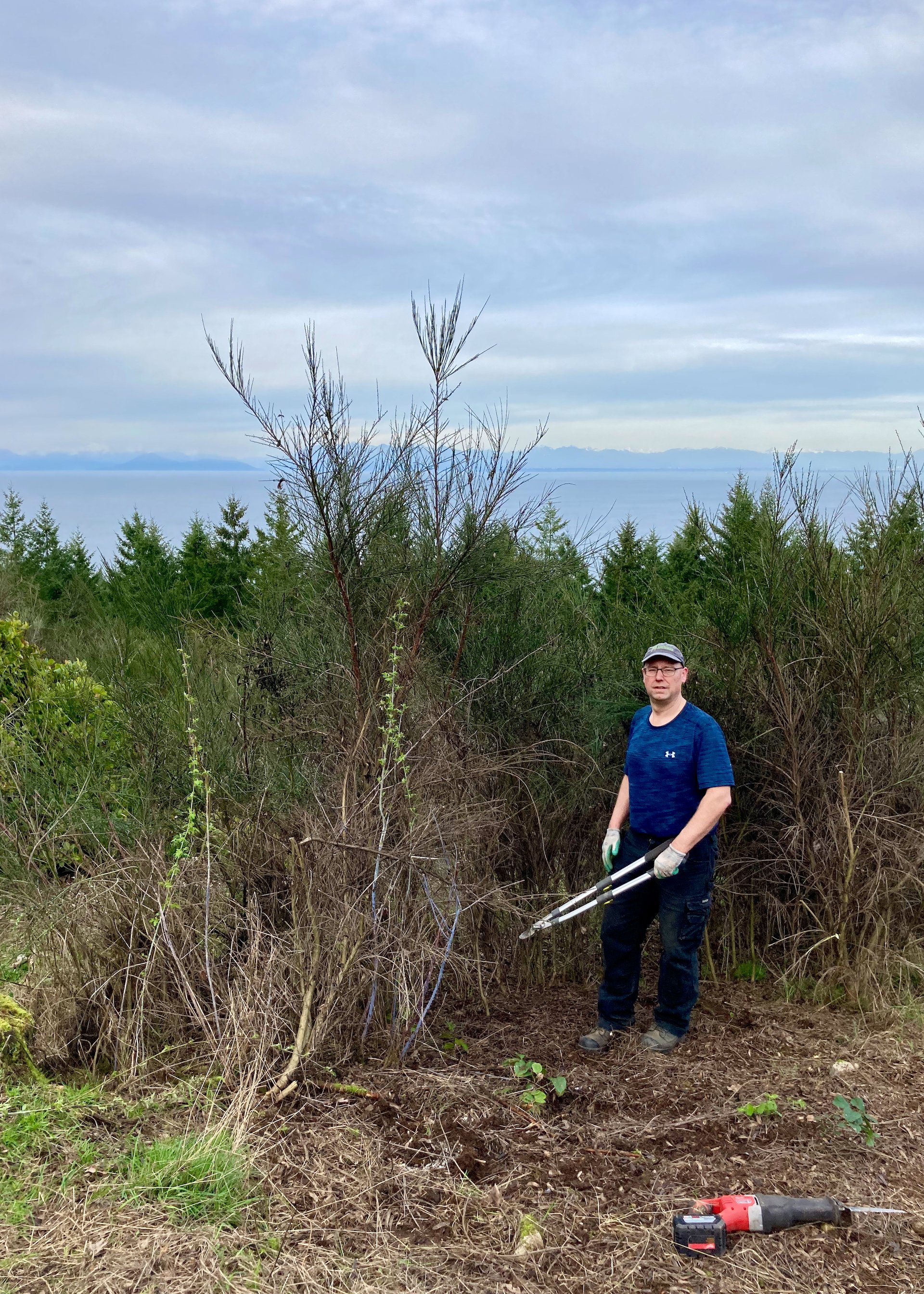  As we work our way down the hill, the broom is getting bigger. This is pretty typical, and the biggest ones need power tools to cut. 