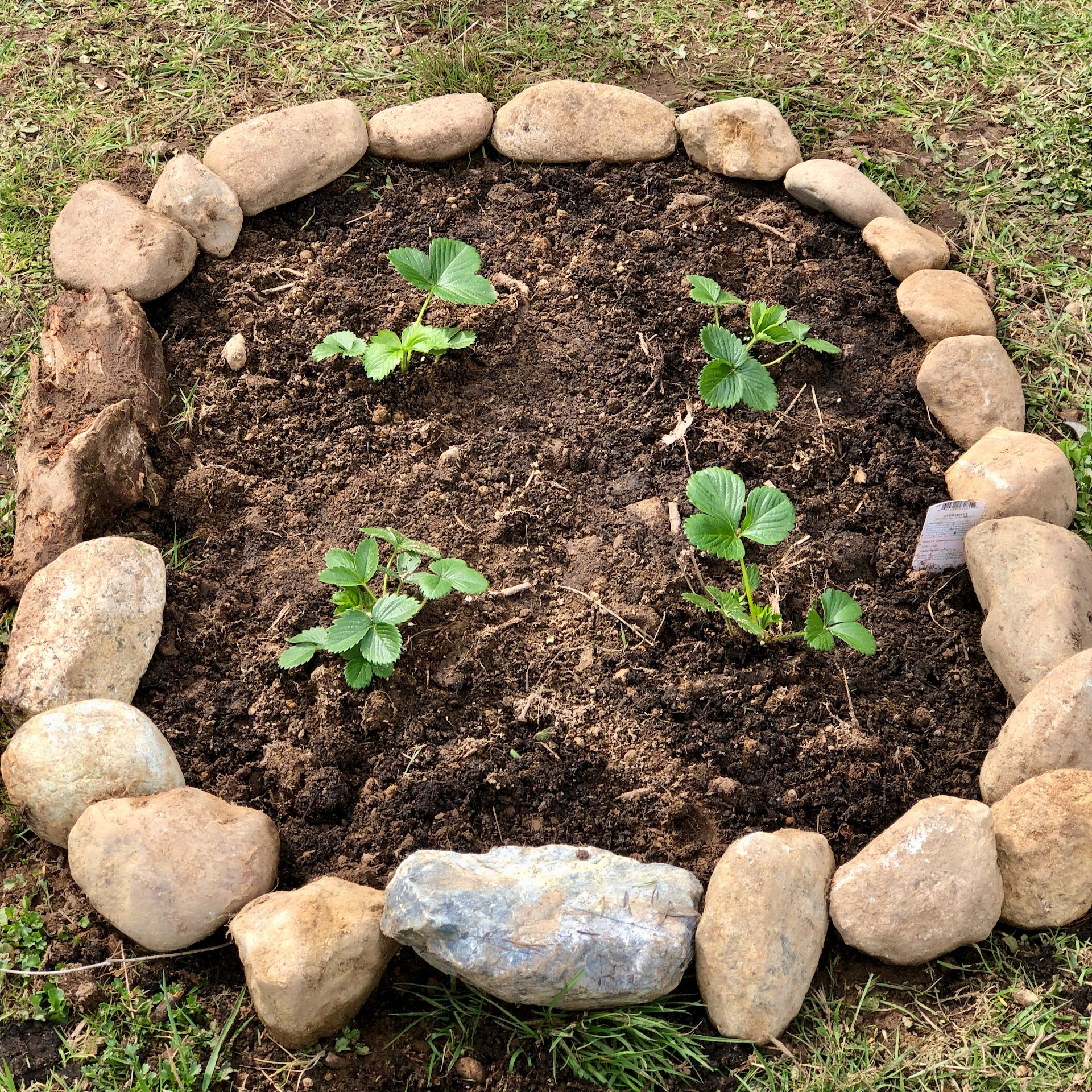  I also built out a small garden for some strawberries. Justine built out the nice rock border for it. 